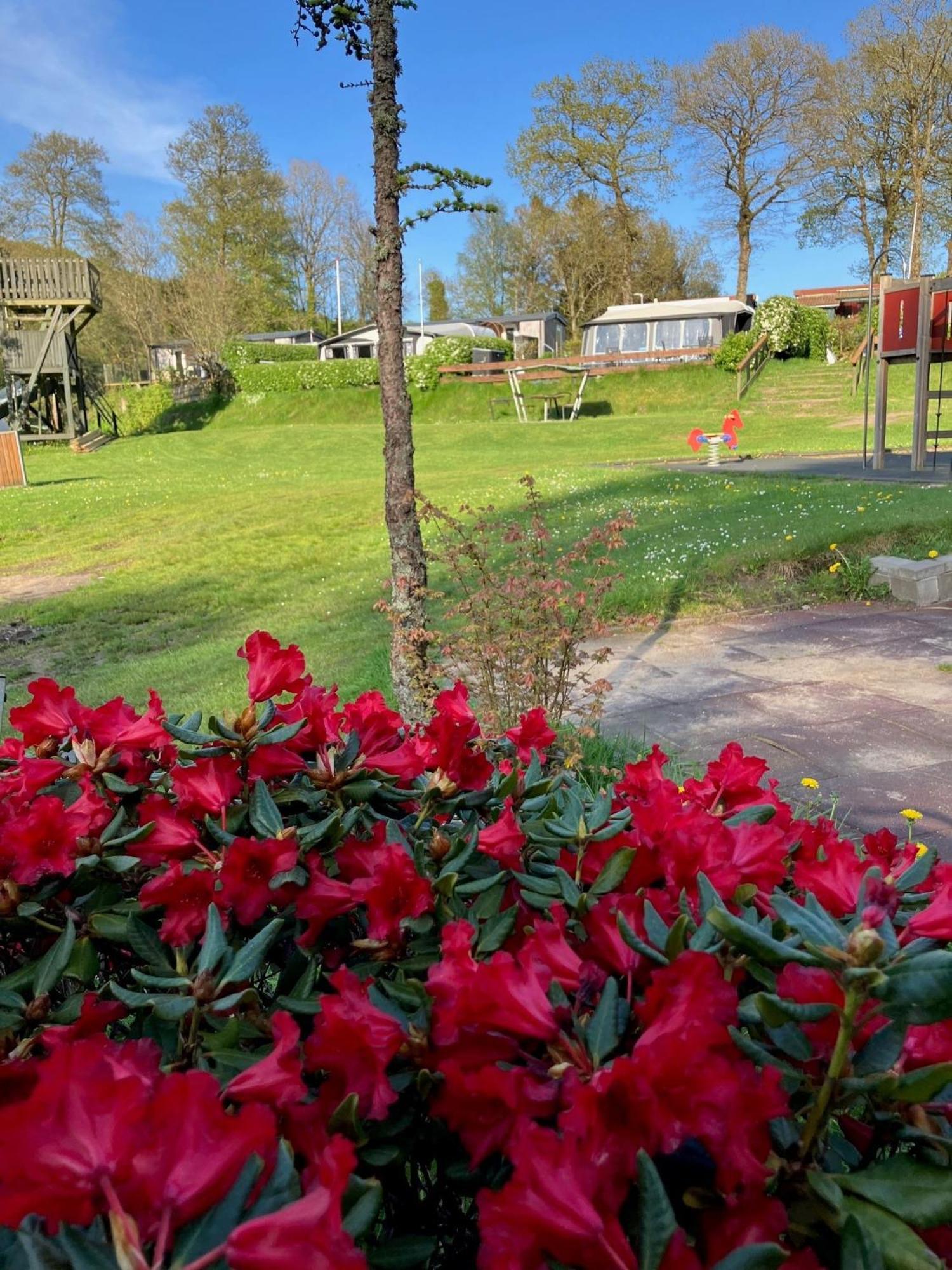 Randboldal Camping & Cabins Экстерьер фото